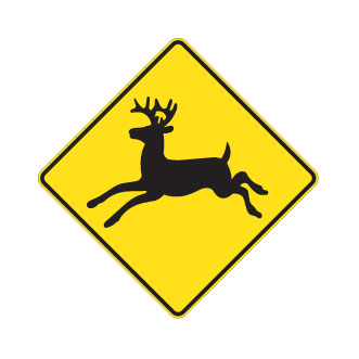 Présence possible de chevreuils