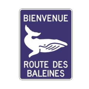 Identification de la route ou du circuit touristique